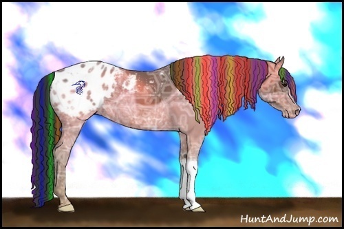 Horse Color:Painted Bay Ice Appaloosa 