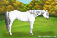 Horse Color:White Spotted Brown Splash Tobiano Frame Blanket 