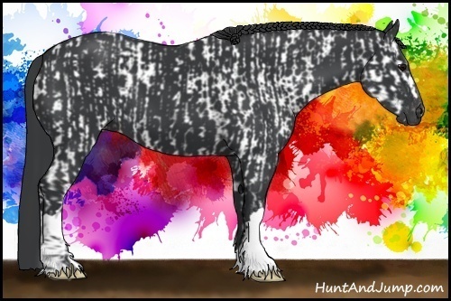 Horse Color:Black Near Leopard  and Black 