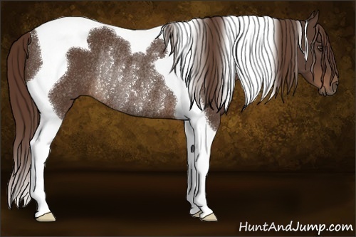 Horse Color:Liver Chestnut Tobiano Rabicano