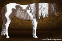 Horse Color:Liver Chestnut Tobiano Rabicano 