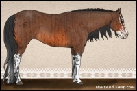 Horse Color:Bay  and Bay Splash 