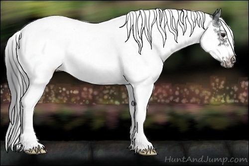 Horse Color:White Spotted Blue Chinchilla Roan Splash Frame Varnish