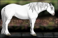 Horse Color:White Spotted Blue Chinchilla Roan Splash Frame Varnish