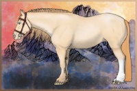 Horse Color:Buckskin Pearl 
