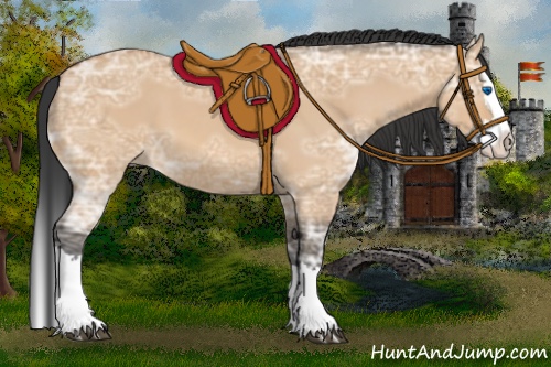 Horse Color:Bay Ice Dun Sabino Splash 