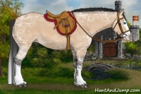 Horse Color:Bay Ice Dun Sabino Splash 