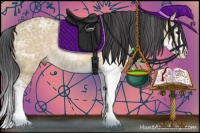 Horse Color:Bay Ice Dun Sabino Splash 