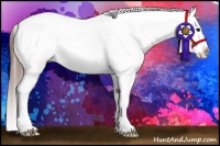 Horse Color:Bay Sabino Splash Near Fewspot 
