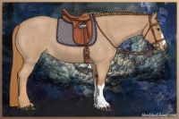 Horse Color:Red Roan 