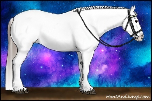 Horse Color:White Spotted Blue Roan Splash Frame Appaloosa 