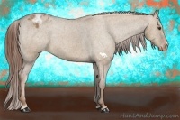 Horse Color:Red Dun Varnish 