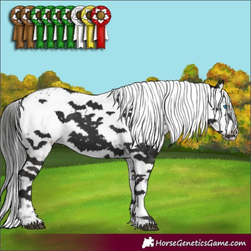 Horse Color:Liver Chestnut Frame 