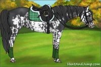 Horse Color:Black Frame  and Black Splash Frame 