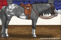 Horse Color:White Spotted Blue Roan Splash Frame Appaloosa 