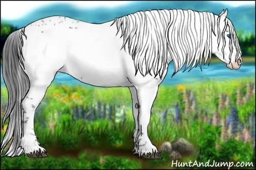 Horse Color:Black Frame 