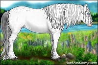 Horse Color:Black Frame 