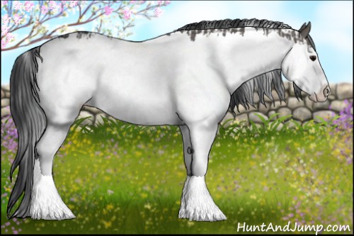 Horse Color:Grullo Sabino Splash  and Grullo Sabino Splash 