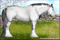 Horse Color:Grullo Sabino Splash  and Grullo Sabino Splash 