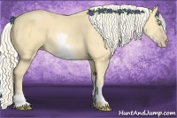 Horse Color:White Spotted Gold Cream Champagne 