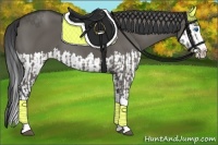 Horse Color:Grullo Sabino Splash  and Grullo Sabino Splash 
