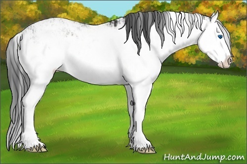 Horse Color:Grullo Sabino Splash  and Grullo Sabino Splash 