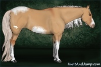 Horse Color:Silver Bay Dun Sabino Tobiano Frame Rabicano