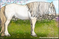 Horse Color:Buckskin Roan Pearl and Buckskin Roan Pearl Frame