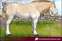 Horse Color:White Spotted Red Dun