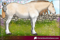 Horse Color:White Spotted Red Dun 