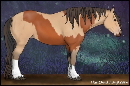 Horse Color:Bay  and Amber Champagne 