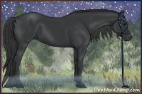 Horse Color:Black 