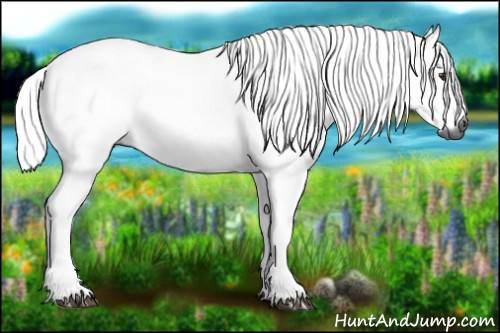 Horse Color:Gray Red Dun