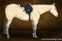 Horse Color:Buckskin Ice Dun 