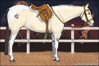 Horse Color:Buckskin Dun Tobiano