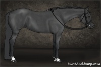 Horse Color:Blue Roan 