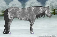 Horse Color:Smoky Black Ice 