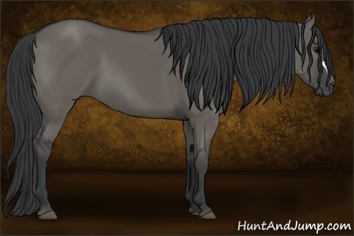 Horse Color:Grullo 