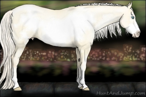 Horse Color:Gold Cream Champagne Pearl Dun Sabino Frame 