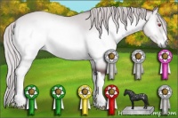 Horse Color:Chocolate Silver Brown Chinchilla Onyx 