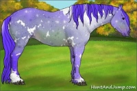 Horse Color:Watercolor White Spotted Brown 