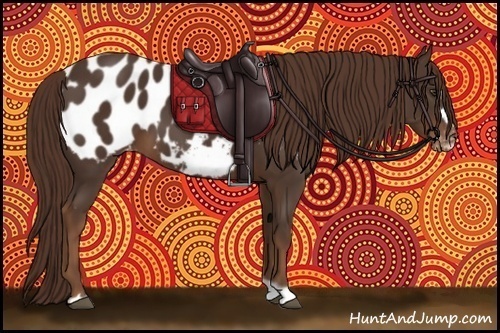 Horse Color:Liver Chestnut Frame Appaloosa 