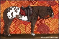 Horse Color:Liver Chestnut Frame Appaloosa