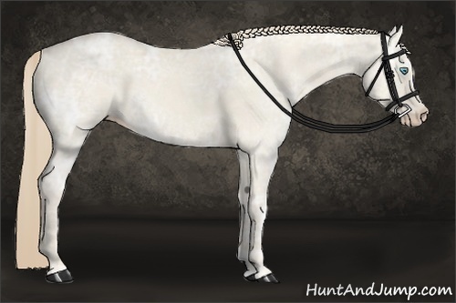 Horse Color:Smoky Creme Ice Dun 