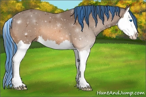 Horse Color:Painted Buckskin Splash 