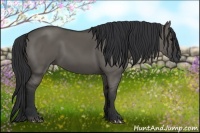 Horse Color:Grullo Rabicano 