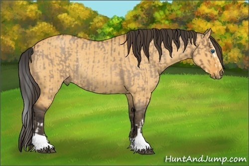 Horse Color:Brown Roan Dun Splash  and Buckskin Dun Rabicano 
