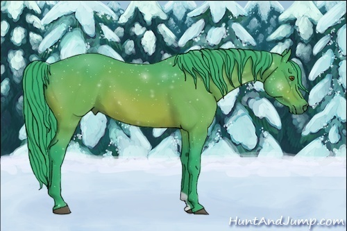 Horse Color:Watercolor Bay