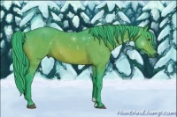 Horse Color:Watercolor Bay 