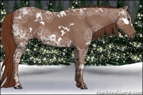 Horse Color:White Spotted Chestnut Ice 